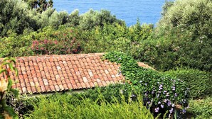 Ein Dachgarten mit Terrakotta-Ziegeln, üppigem Grün und blühenden Pflanzen.