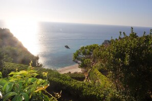 海灘