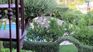 Ein gepflegter Garten mit Schwimmbad, ordentlich geschnittenen Hecken und verschiedenen Bäumen.