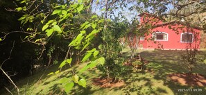Surrounded by lush greenery, this serene garden features a charming building with two windows and a well-tended garden area.