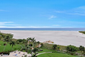 A beach resort with a clear view of the ocean, palm trees, and a well-maintained lawn area with lounge chairs.