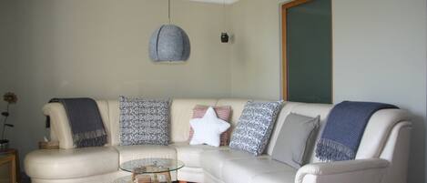 Smart TV, books, video library