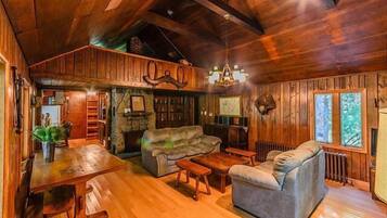 電視、DVD 播放機