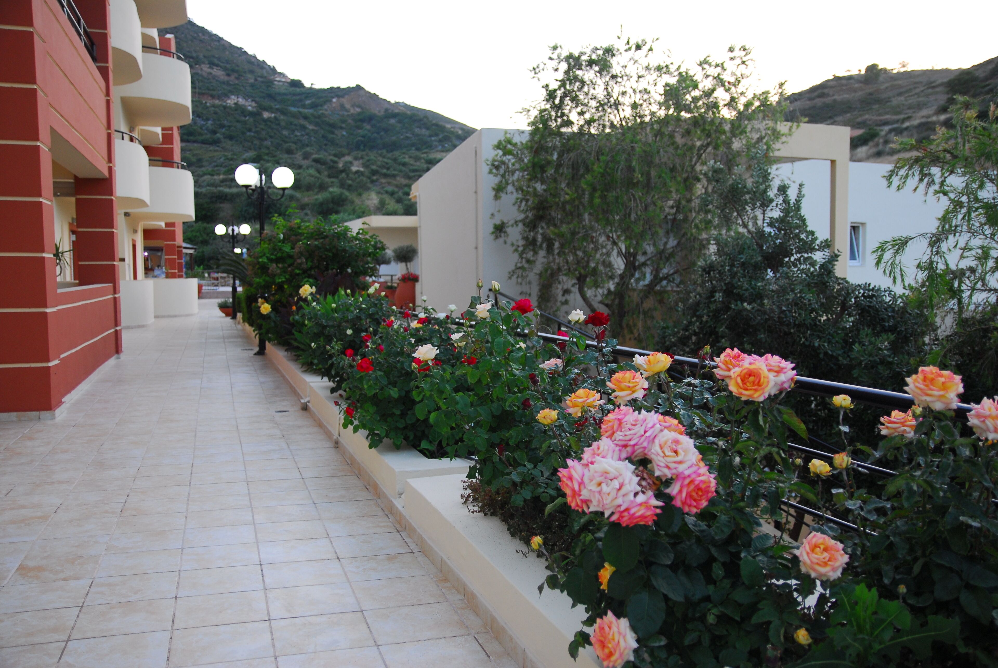 Terrein van de accommodatie