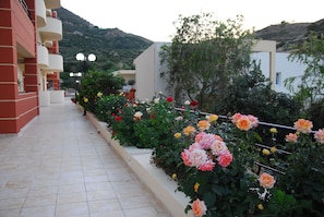 숙박 시설 구내