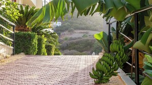 A paved pathway leading to a balcony with lush greenery and a view of a hilly landscape. - Elpis Studios And Apartments (Mylopotamos)
