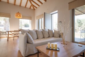 Smart-TV, Kamin