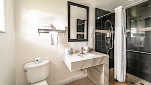 Un bagno con il water, lavandino, specchio e zona doccia.