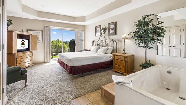 Un dormitorio con una cama, televisor, escritorio, silla, planta, bañera y puerta corrediza de vidrio al exterior.