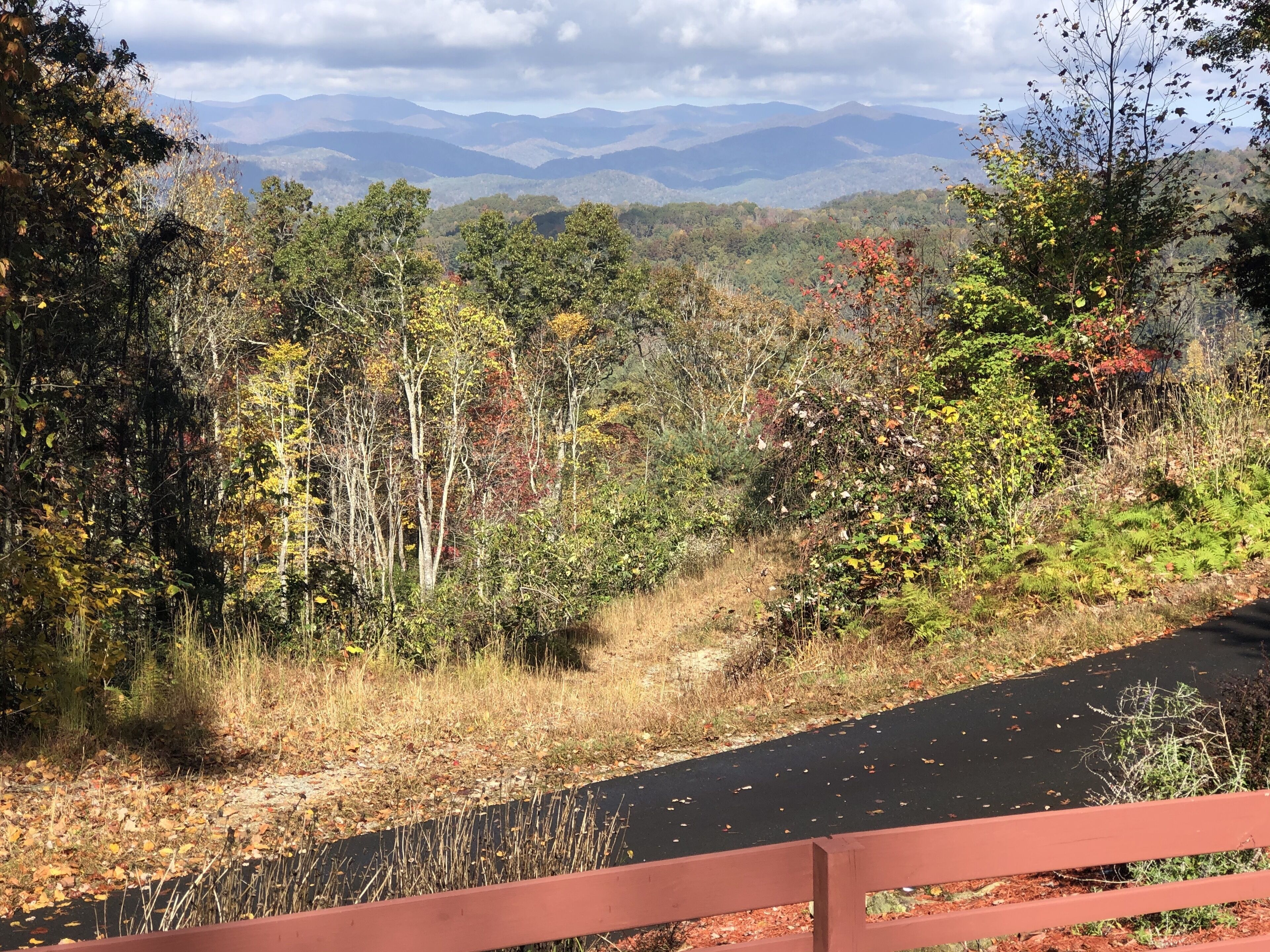 Amazing Mountain Views! Dog friendly, minutes to Pisgah Forest!
