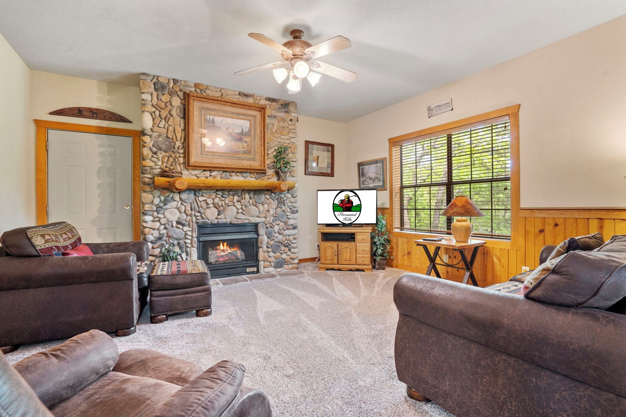 TV connectée, cheminée, lecteur de DVD