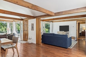 Smart-TV, Kamin