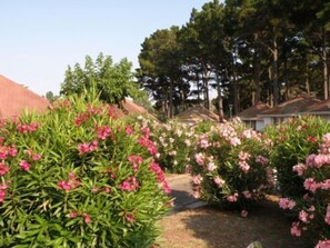 Property grounds - Village des Iles (Taglio-Isolaccio)