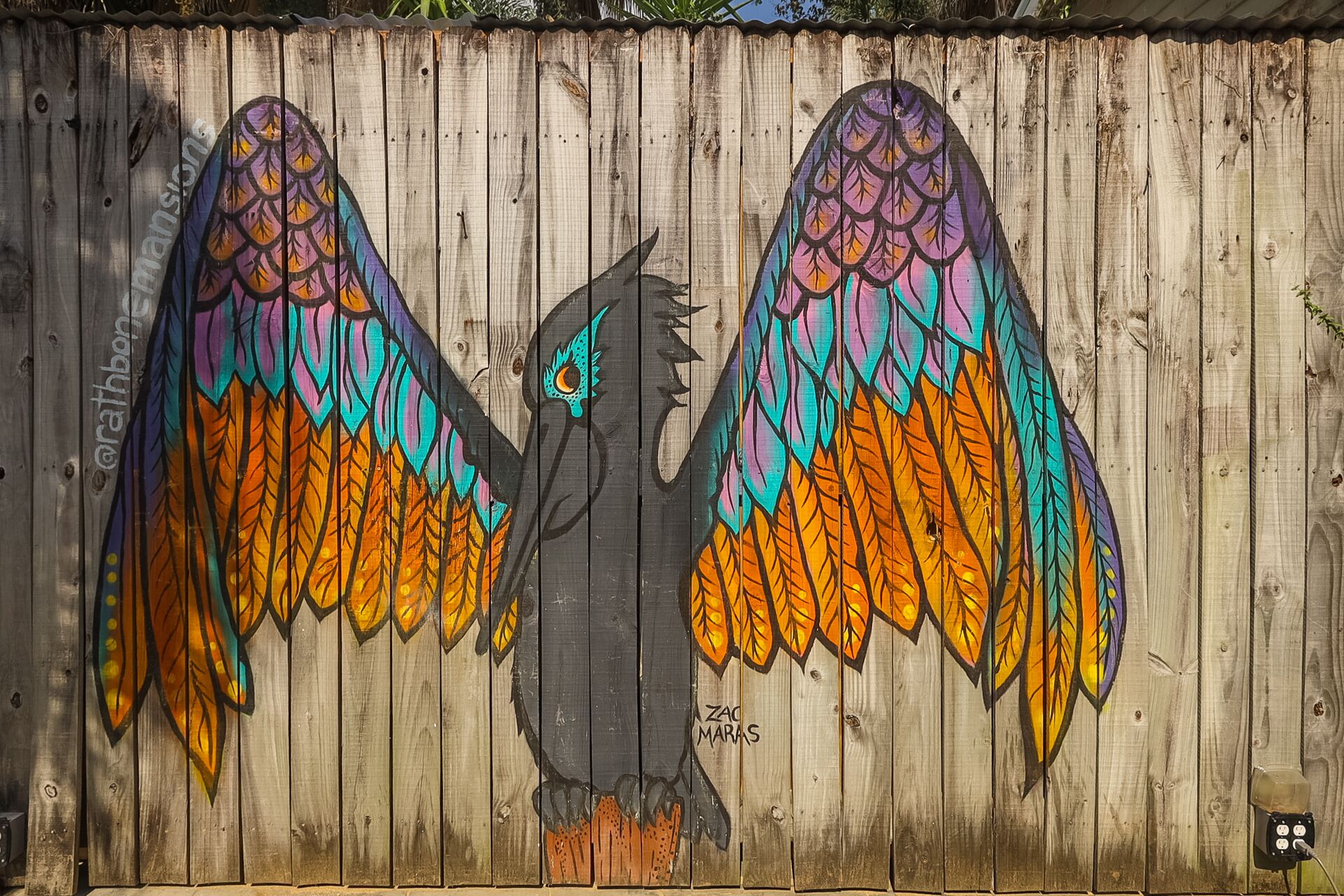A wooden fence with a colorful mural of a bird with large wings.