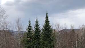 A campsite with four Adirondack chairs, a small table, and a fire pit. - Hideaway in the Great North Woods - direct access to snowmobile trails (Errol)