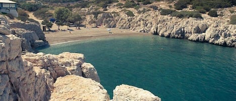Plage à proximité, bar sur la plage