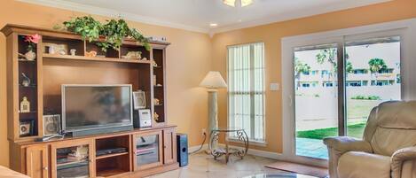 电视、DVD 播放器