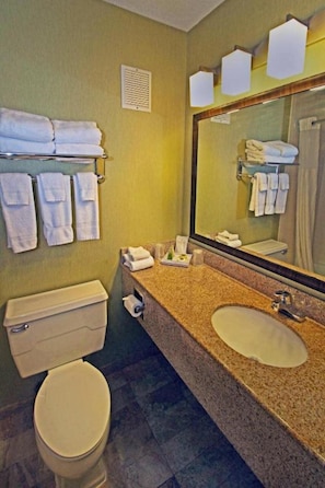A bathroom with a toilet, sink, and towel rack. - Williamsburg Historic District (Williamsburg)