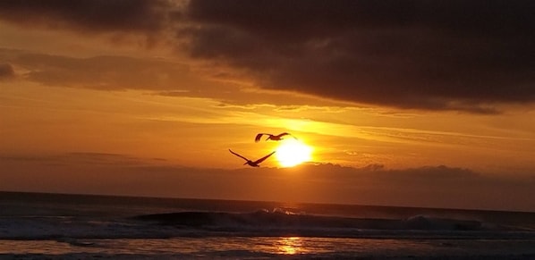 Unclassified image, 1 of 26, button