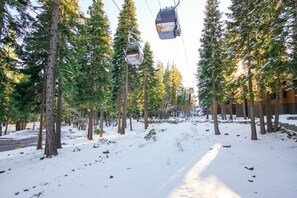 En snötäckt stig med en skidlift och höga, vintergröna träd.