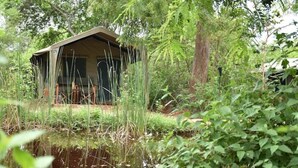 A tented accommodation surrounded by dense greenery and a small pond.