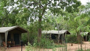 A campsite with two tents, one with a table and chairs outside, surrounded by trees and vegetation.