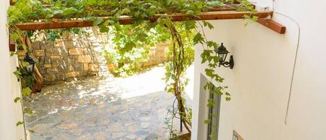 Khuôn viên nơi lưu trú