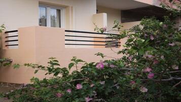 Detalle del exterior