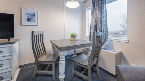 A room with a wooden dining table, two chairs, a television, a potted plant, a window with curtains, and a radiator.