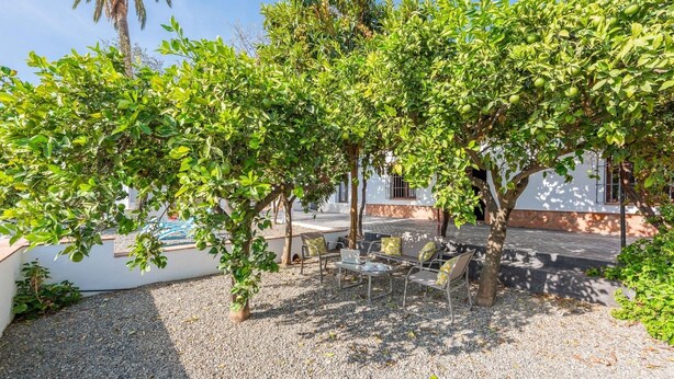 Un espace extérieur aménagé avec des tables et des chaises, installé sous des arbres et entouré d’un bâtiment blanc doté d’un toit en tuiles.