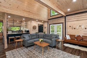 Smart TV, fireplace, DVD player, video library