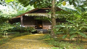 Ein rustikales Holzgebäude mit einem Reetdach, umgeben von üppiger Vegetation und einem zugehörigen Weg.