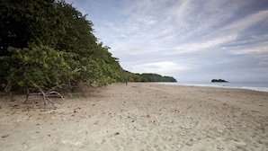 Ein Strand mit sandigem Ufer, dichter Bepflanzung links und einem fernen Blick auf den Ozean.