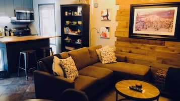 Smart TV, lareira, DVD player, livros