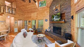 Smart TV, fireplace, books