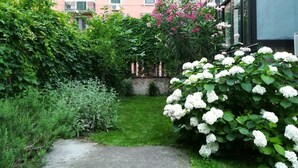 A garden with white hydrangea bushes, a pink building, and a clear pathway. - GuestHost - Cozy apartment in Dorsoduro with GARDEN! (Venezia)