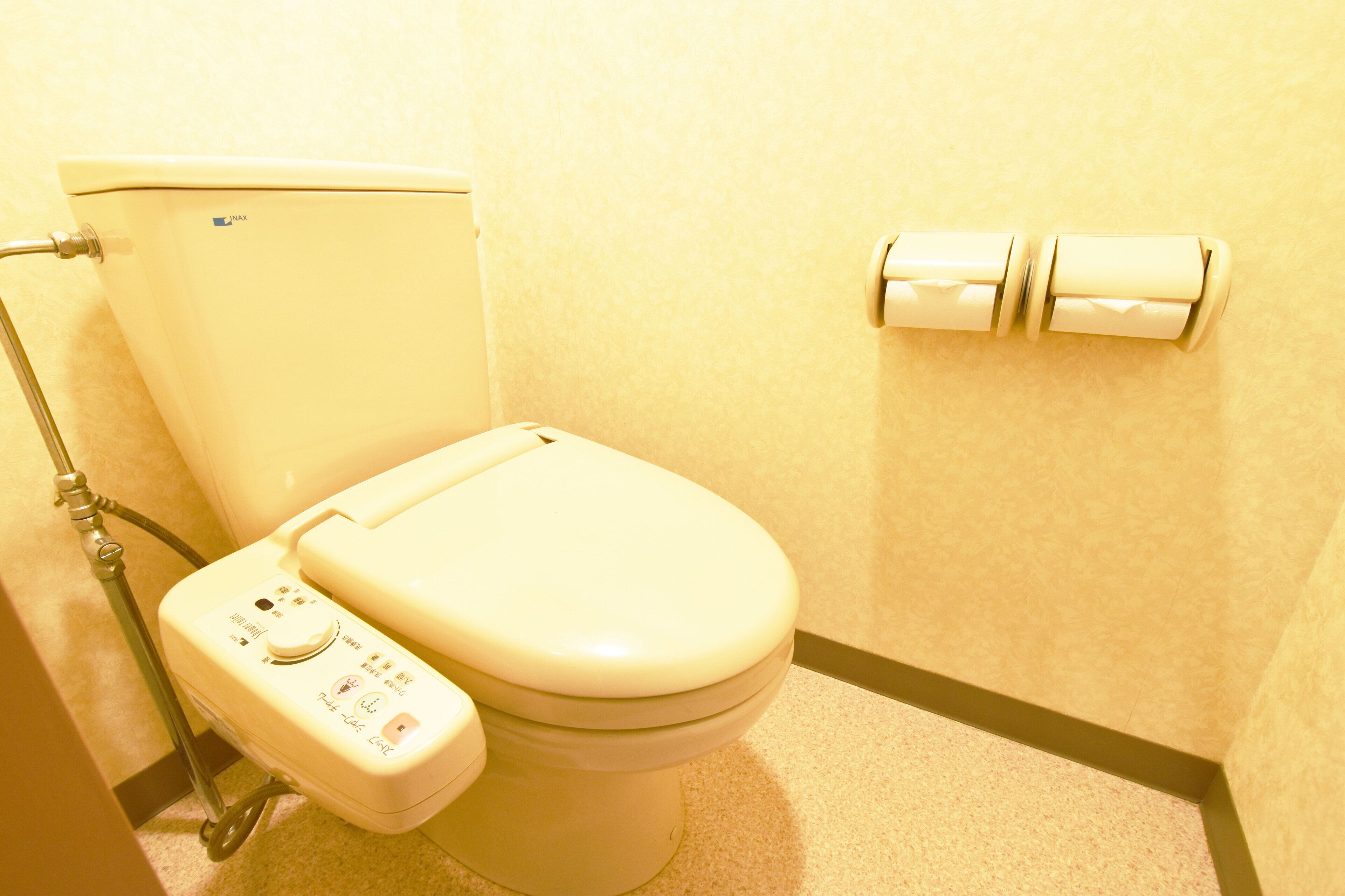 Assecador de cabells, sabatilles i vàter amb bidet electrònic 