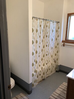 Combined shower/tub, jetted tub, hair dryer, towels