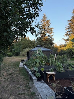 A garden with raised beds, a wooden bench, and a small shed.