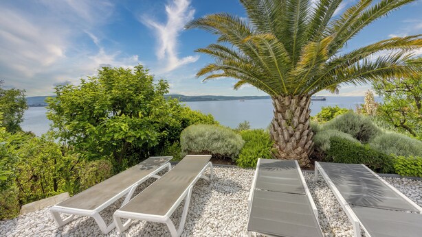 Eine Terrasse mit Liegestühlen und einer Palme mit Blick auf ein Gewässer.