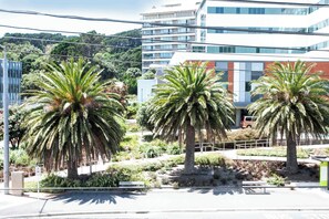 A modern building with a glass facade, surrounded by palm trees and greenery. - Sojourn Apartment Hotel - Riddiford (Wellington)