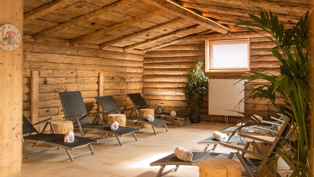 Une cabane en rondins, avec des murs et un plafond en bois, aménagée avec plusieurs chaises longues et une plante en pot.
