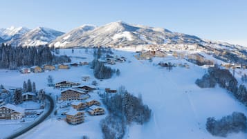Bermain ski