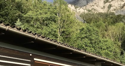 Holiday Home at Lake Traunsee