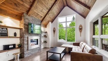 Televisión y chimenea