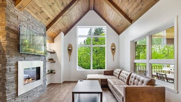 TV, fireplace, books