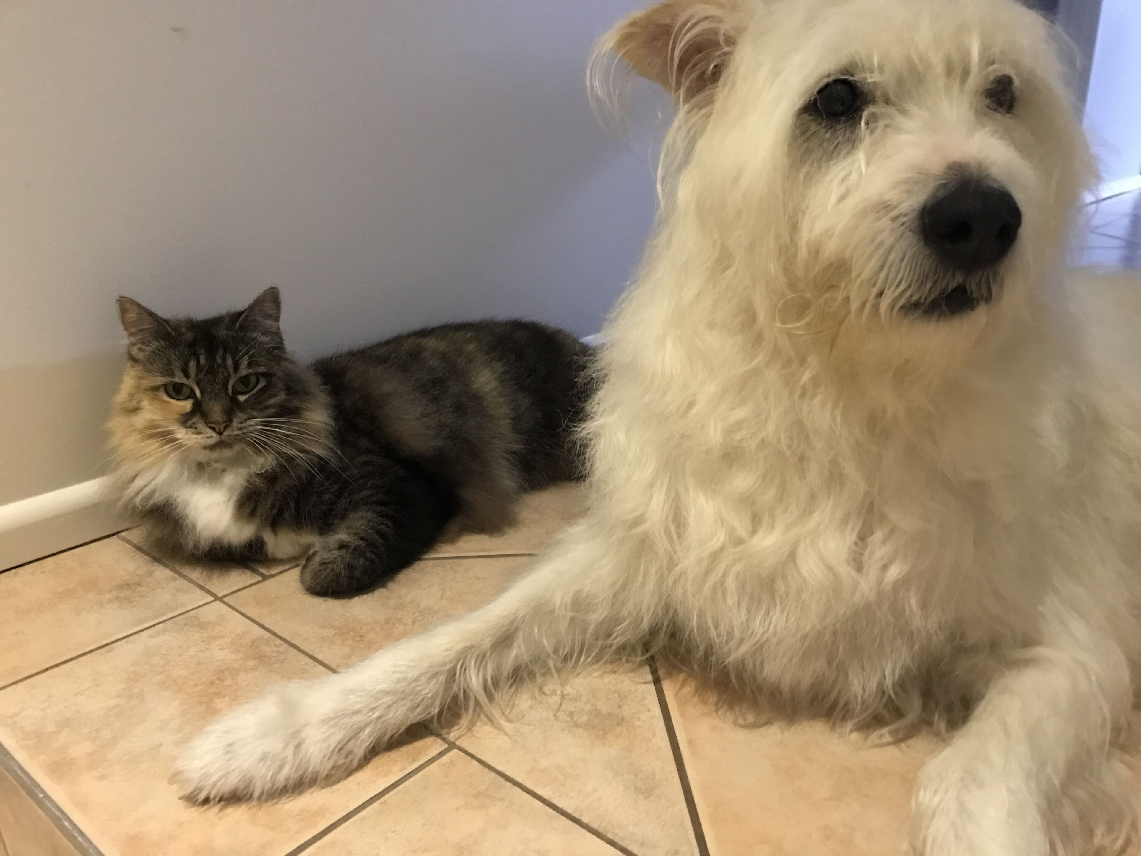 Burleigh Waters Retreat - Point of Difference - east coast holidays online — image 2