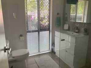 A bathroom with a toilet, a sink, and a glass shower enclosure.