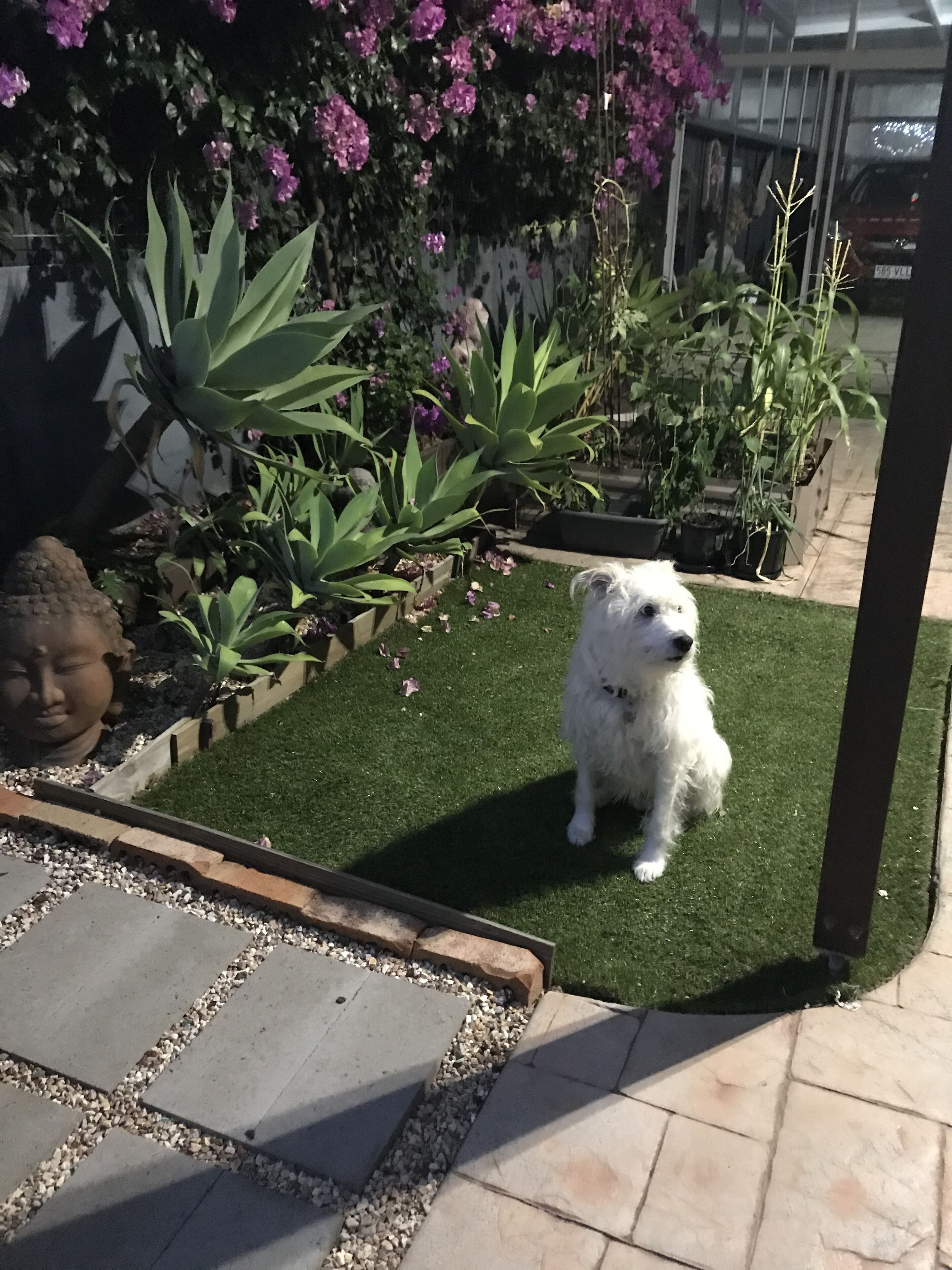 Burleigh Waters Retreat - Point of Difference - east coast holidays online — image 20