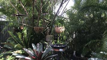 A garden with various plants and a bird feeder.
